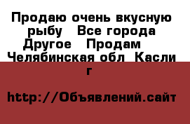 Продаю очень вкусную рыбу - Все города Другое » Продам   . Челябинская обл.,Касли г.